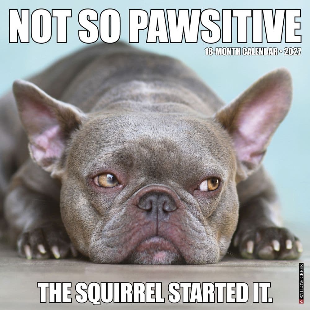 Not So Pawsitive 2027 Wall Calendar Main Product Image