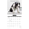 image Not So Pawsitive 2027 Wall Calendar Second Alternate Image