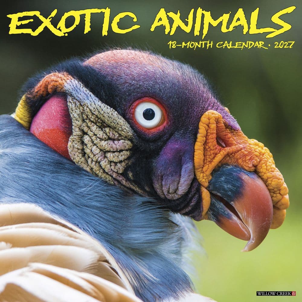 image Exotic Animals 2027 Wall Calendar Main Product Image