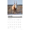 image Exotic Animals 2027 Wall Calendar Second Alternate Image