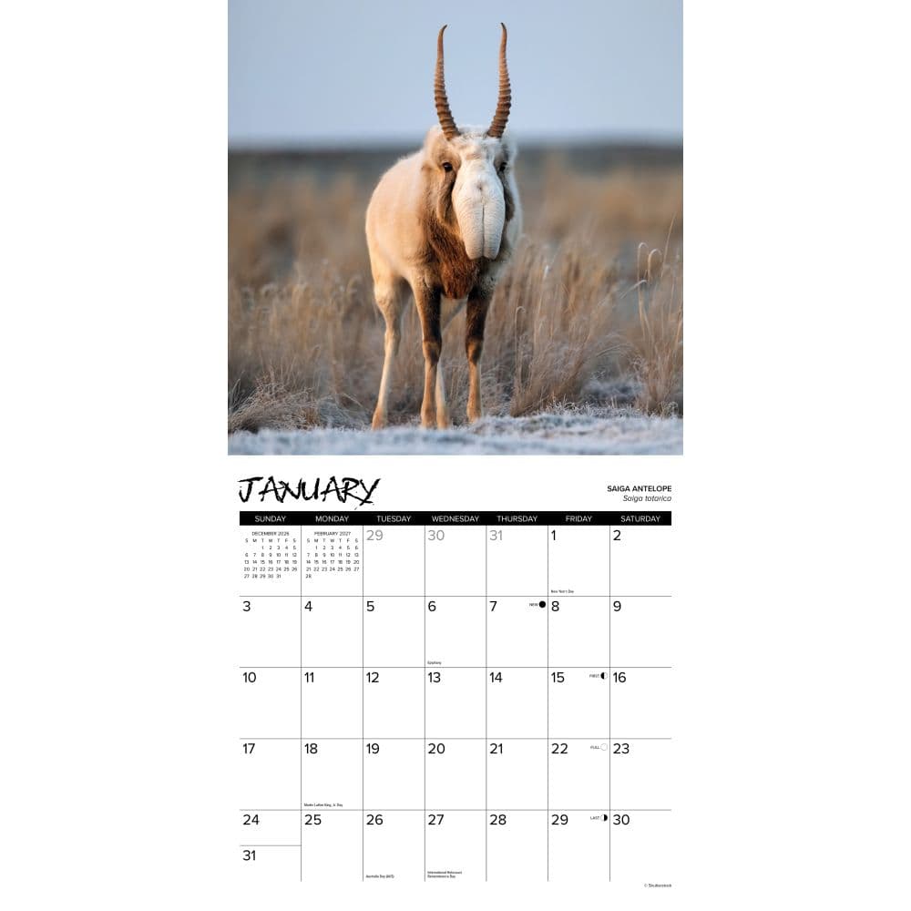 Exotic Animals 2027 Wall Calendar Second Alternate Image