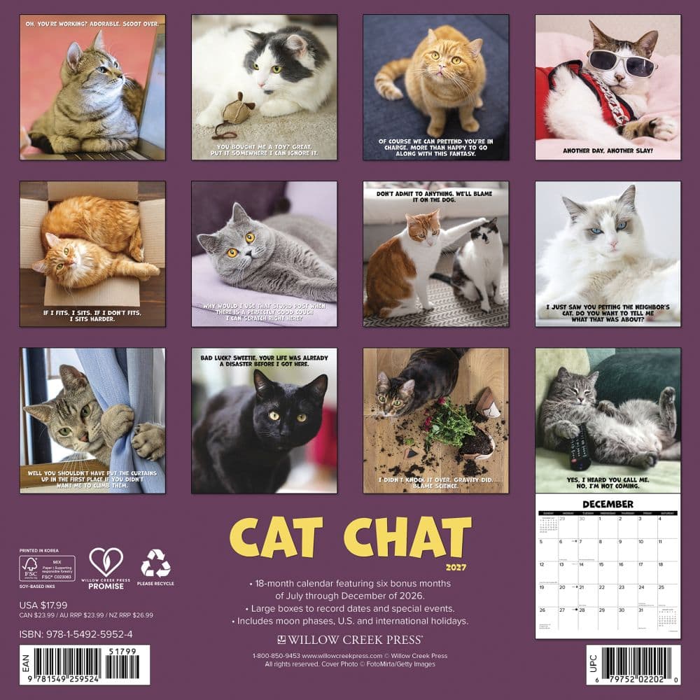 Cat Chat 2027 Wall Calendar First Alternate Image
