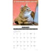 image Cat Chat 2027 Wall Calendar Second Alternate Image