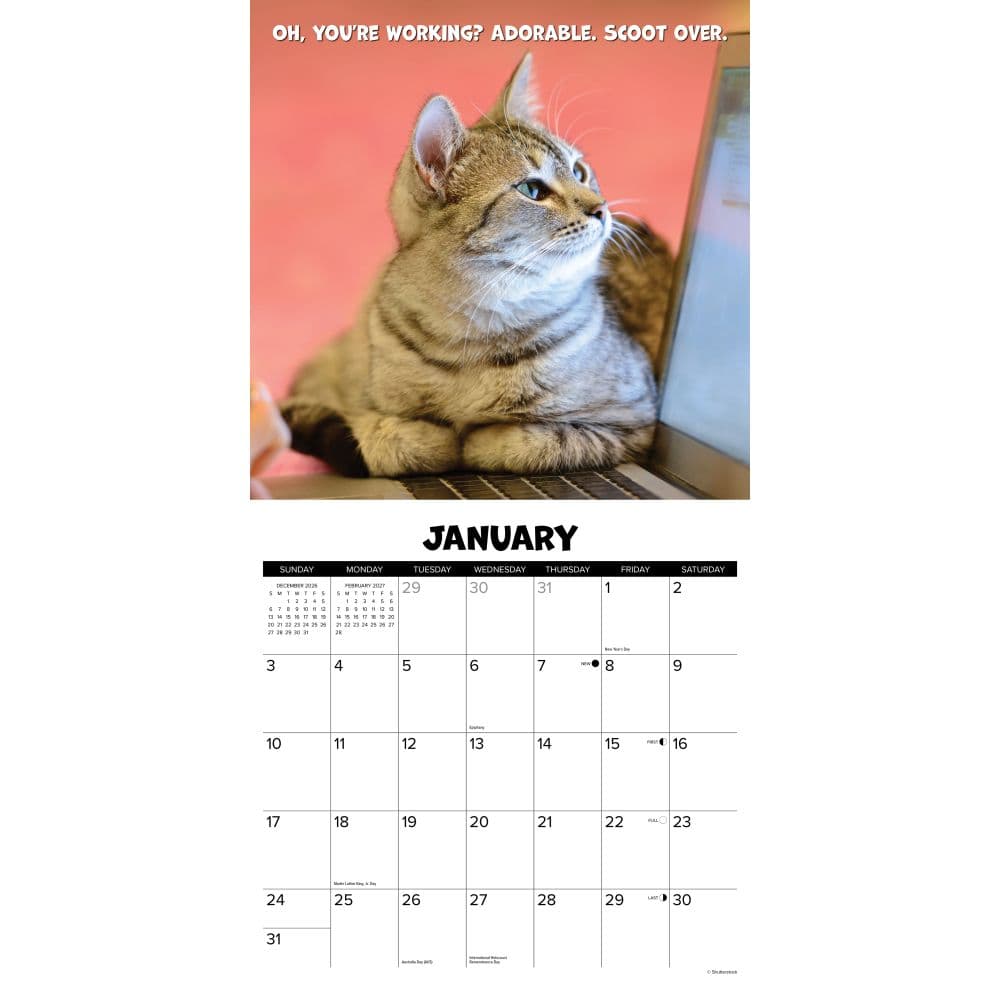 Cat Chat 2027 Wall Calendar Second Alternate Image