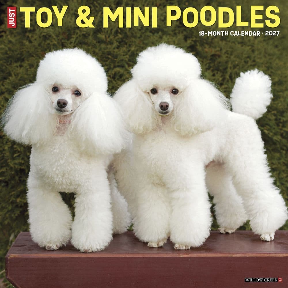 Toy and Miniature Poodles 2027 Wall Calendar Main Product Image