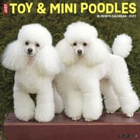 image Toy and Miniature Poodles 2027 Wall Calendar Main Product Image