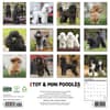 image Toy and Miniature Poodles 2027 Wall Calendar First Alternate Image