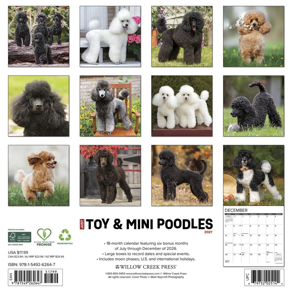 Toy and Miniature Poodles 2027 Wall Calendar First Alternate Image
