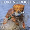image Sporting Dogs 2027 Wall Calendar Main Product Image