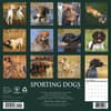 image Sporting Dogs 2027 Wall Calendar First Alternate Image