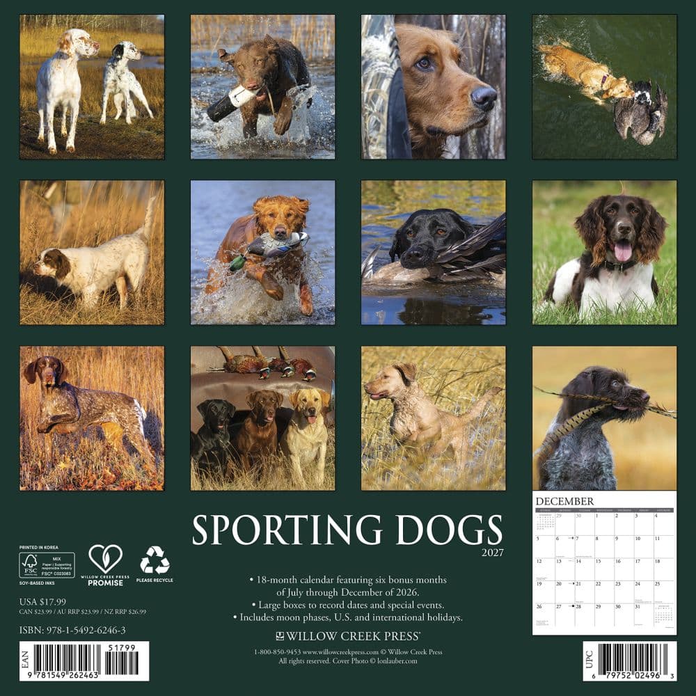 Sporting Dogs 2027 Wall Calendar First Alternate Image