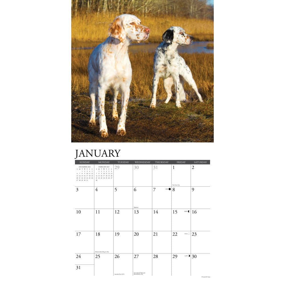 Sporting Dogs 2027 Wall Calendar Second Alternate Image