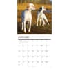 image Sporting Dogs 2027 Wall Calendar Second Alternate Image