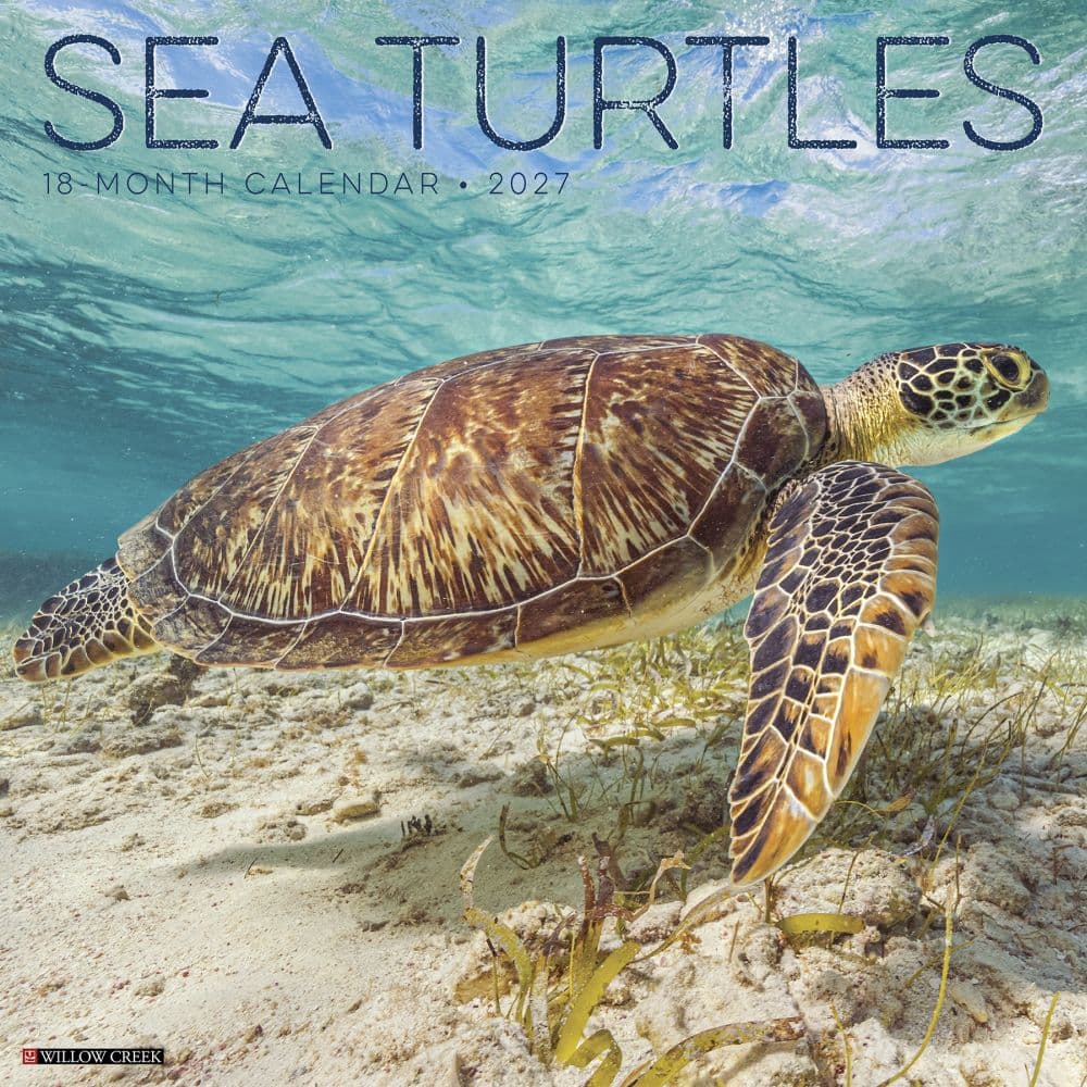 Sea Turtles 2027 Wall Calendar Main Product Image