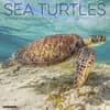 image Sea Turtles 2027 Wall Calendar Main Product Image