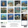 image Sea Turtles 2027 Wall Calendar First Alternate Image