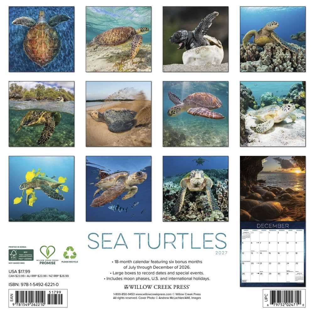 Sea Turtles 2027 Wall Calendar First Alternate Image
