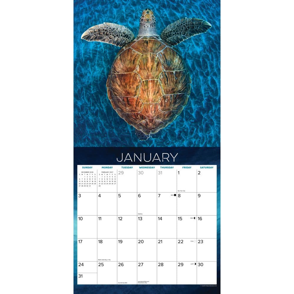 Sea Turtles 2027 Wall Calendar Second Alternate Image