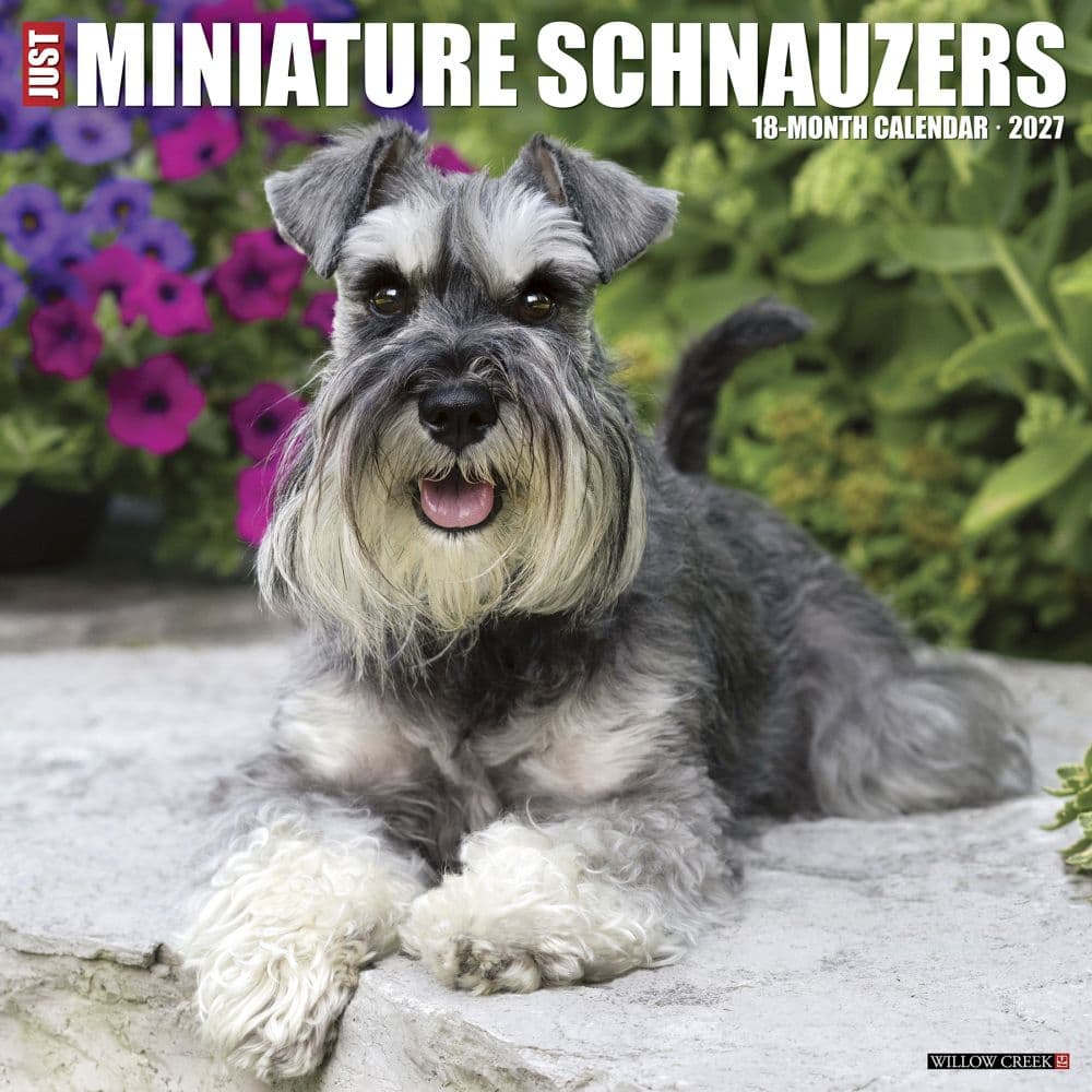 Just Miniature Schnauzers 2027 Wall Calendar Main Product Image