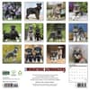 image Just Miniature Schnauzers 2027 Wall Calendar First Alternate Image