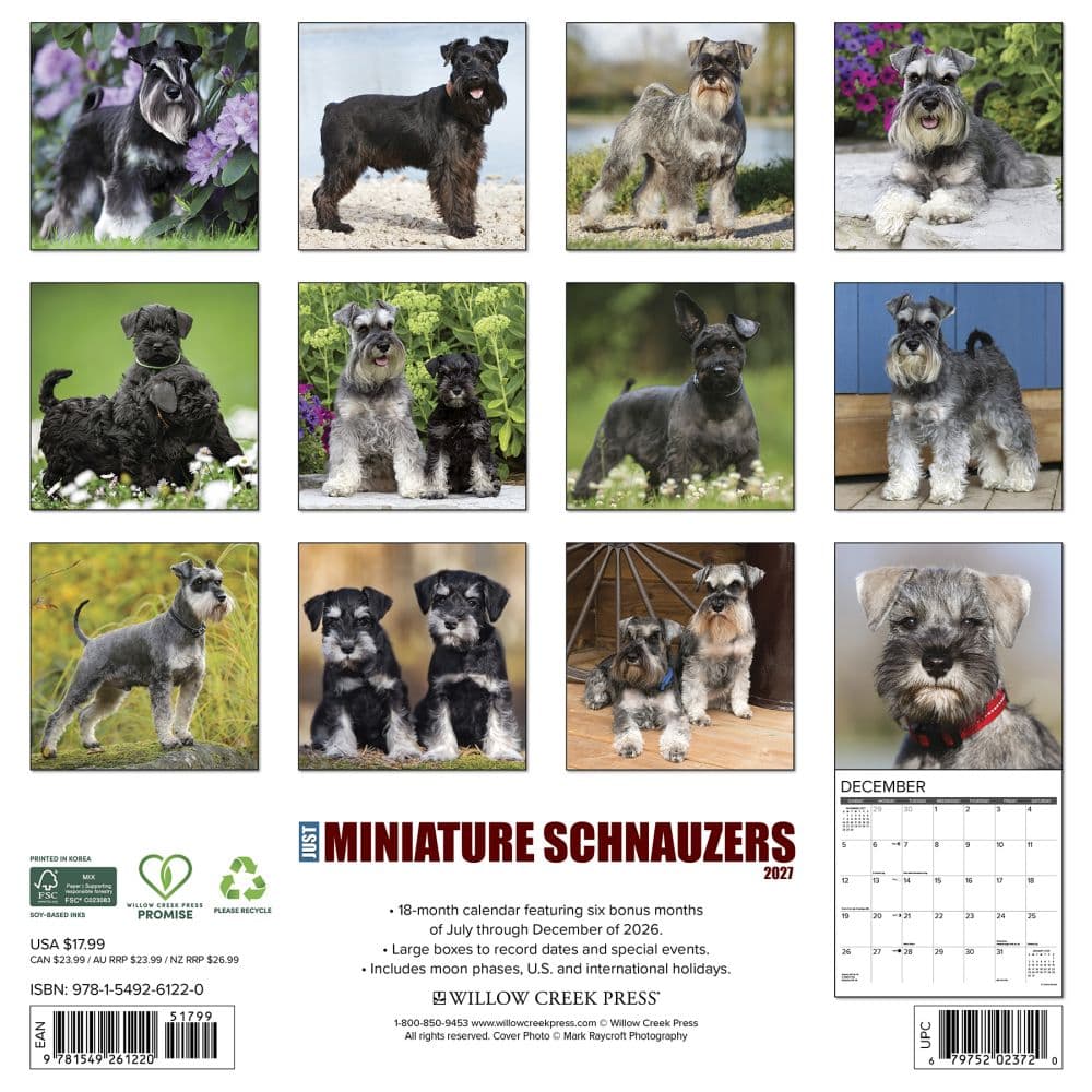 Just Miniature Schnauzers 2027 Wall Calendar First Alternate Image