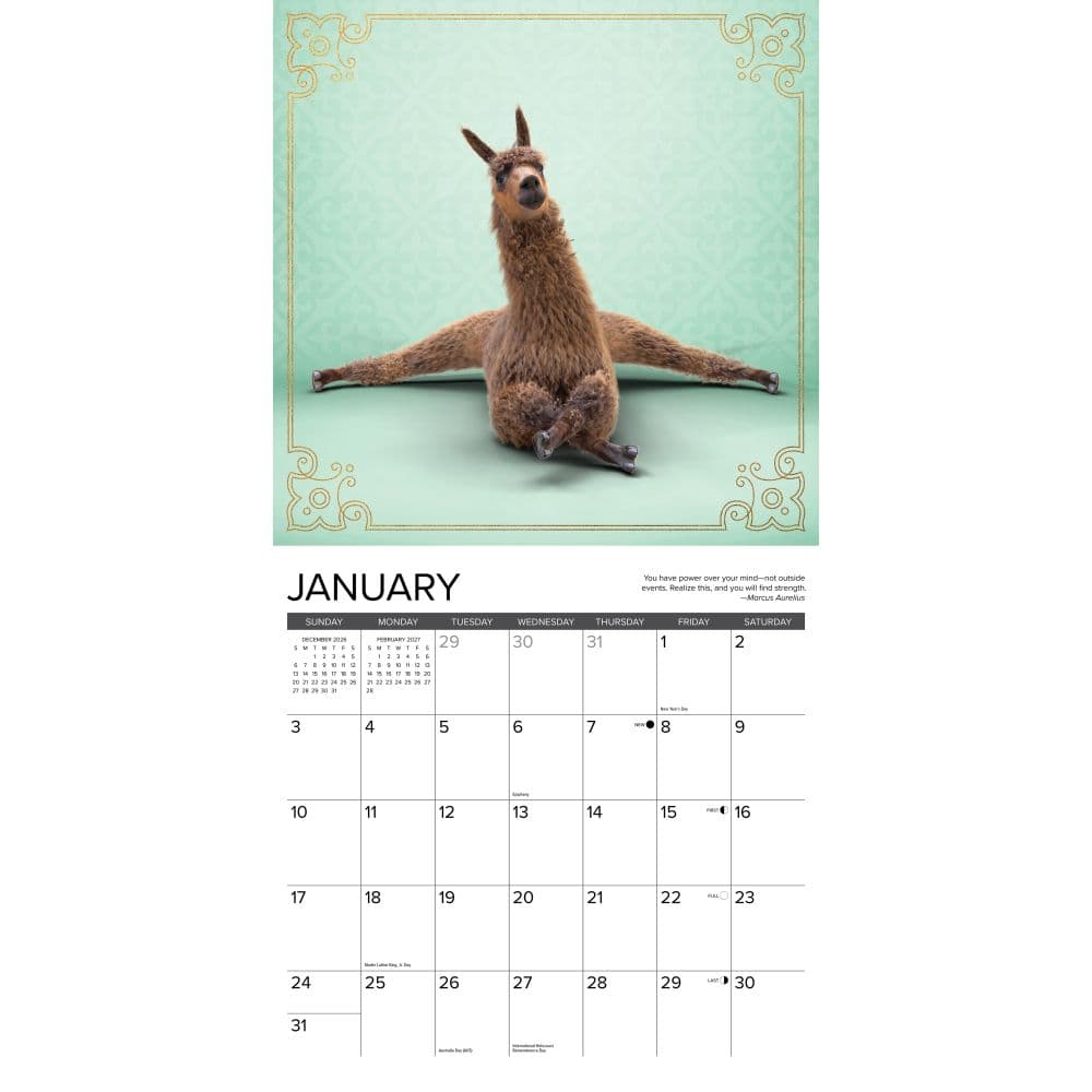 Llama Yoga 2027 Wall Calendar Second Alternate Image