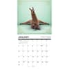 image Llama Yoga 2027 Wall Calendar Second Alternate Image