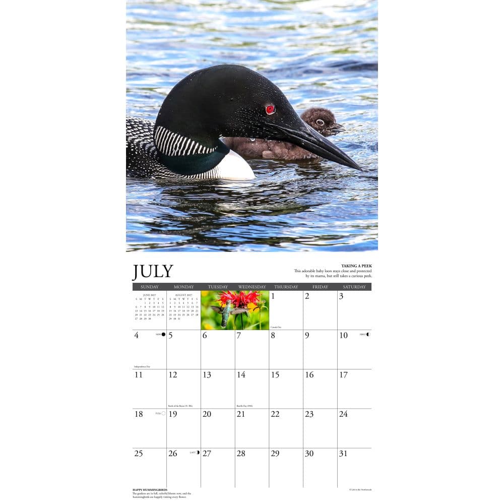 Life in the Northwoods 2027 Wall Calendar Second Alternate Image