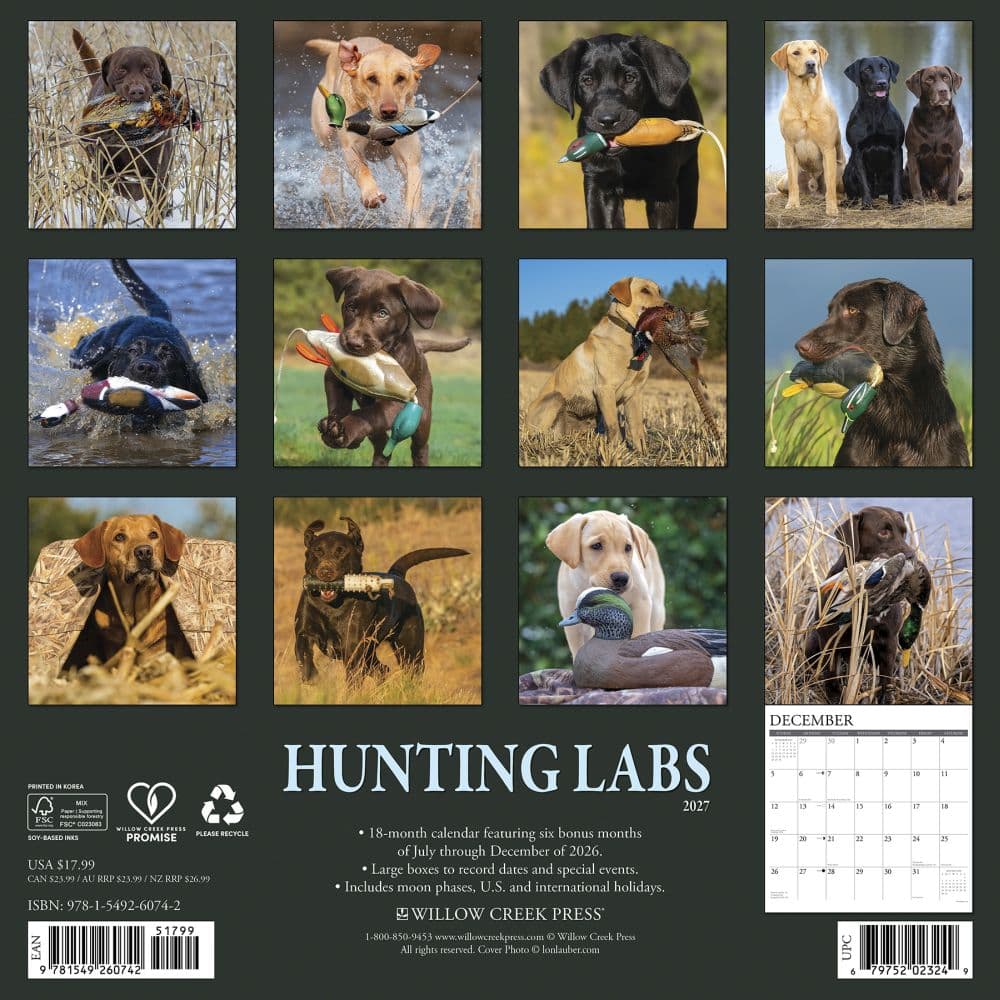 Hunting Labs 2027 Wall Calendar First Alternate Image