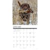 image Hunting Labs 2027 Wall Calendar Second Alternate Image