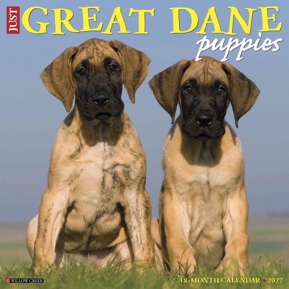 Great Dane Puppies 2027 Wall Calendar