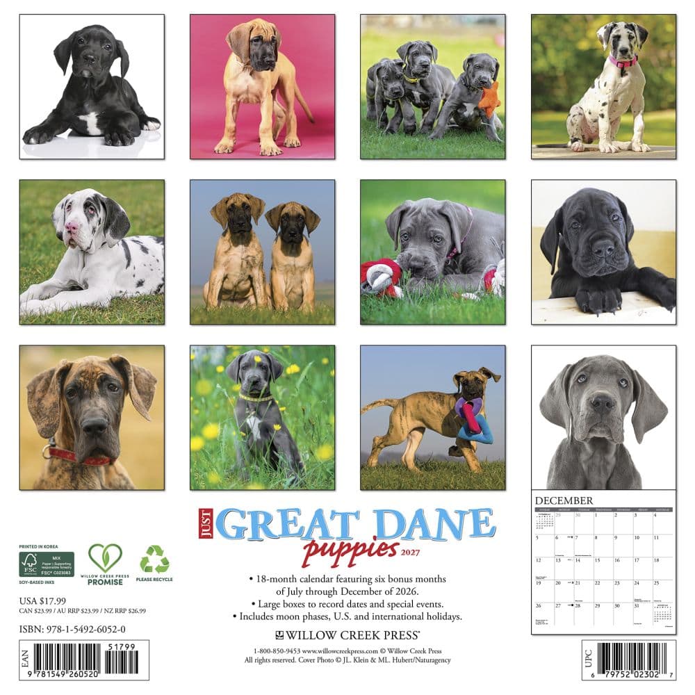 Great Dane Puppies 2027 Wall Calendar First Alternate Image