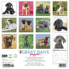 image Great Dane Puppies 2027 Wall Calendar First Alternate Image