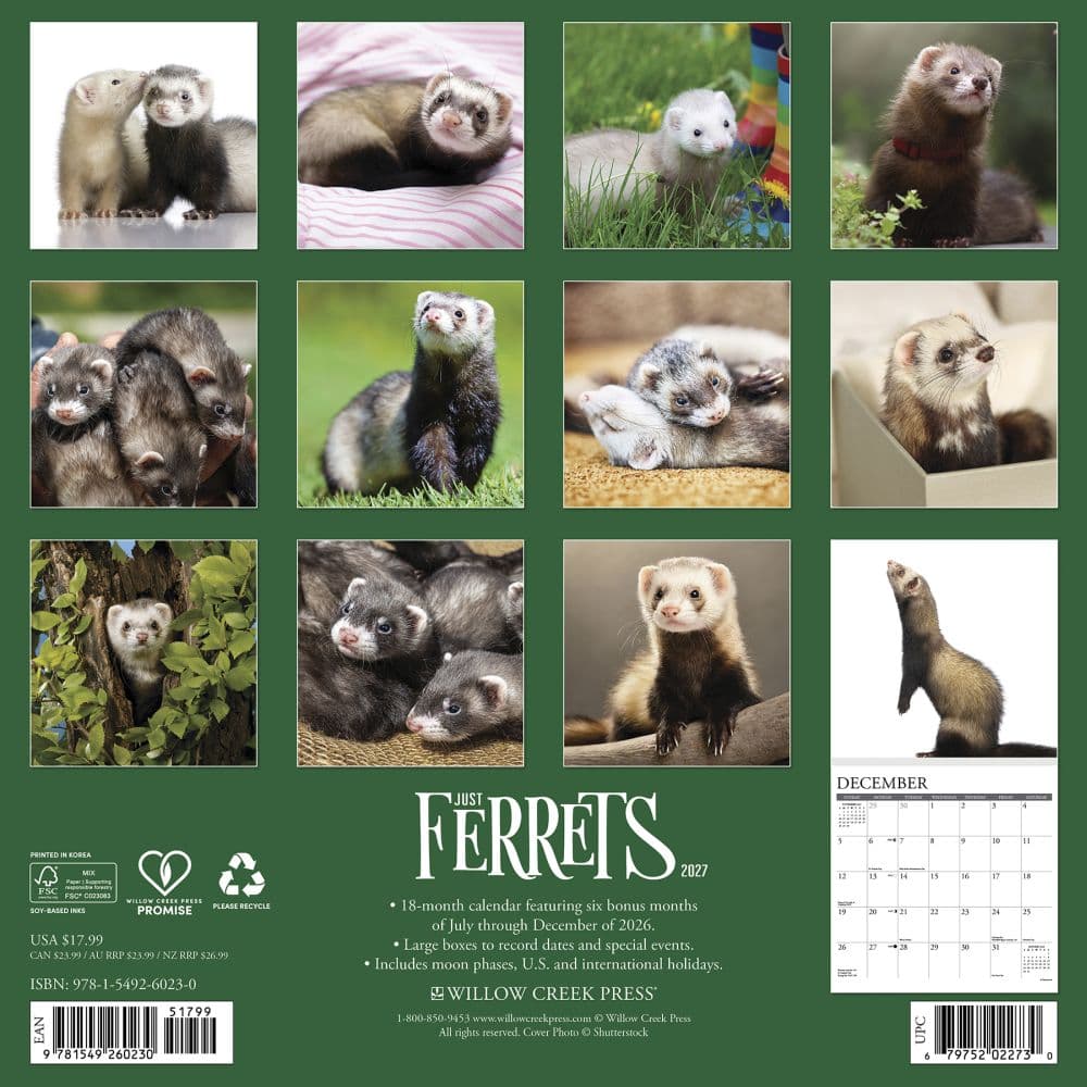 Ferrets 2027 Wall Calendar First Alternate Image