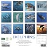 image Dolphins 2027 Wall Calendar First Alternate Image
