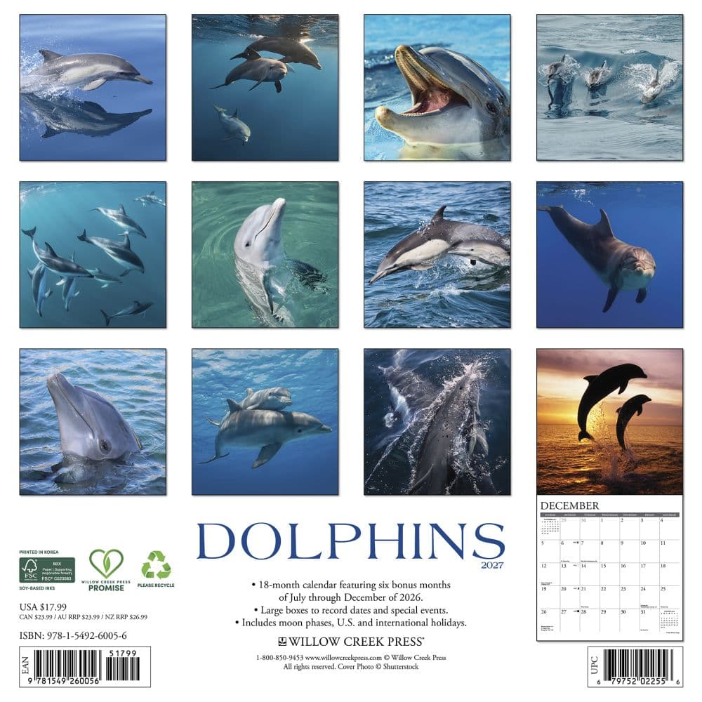 Dolphins 2027 Wall Calendar First Alternate Image