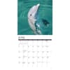 image Dolphins 2027 Wall Calendar Second Alternate Image