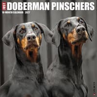 image Just Dobermans Pinschers 2027 Wall Calendar Main Product Image
