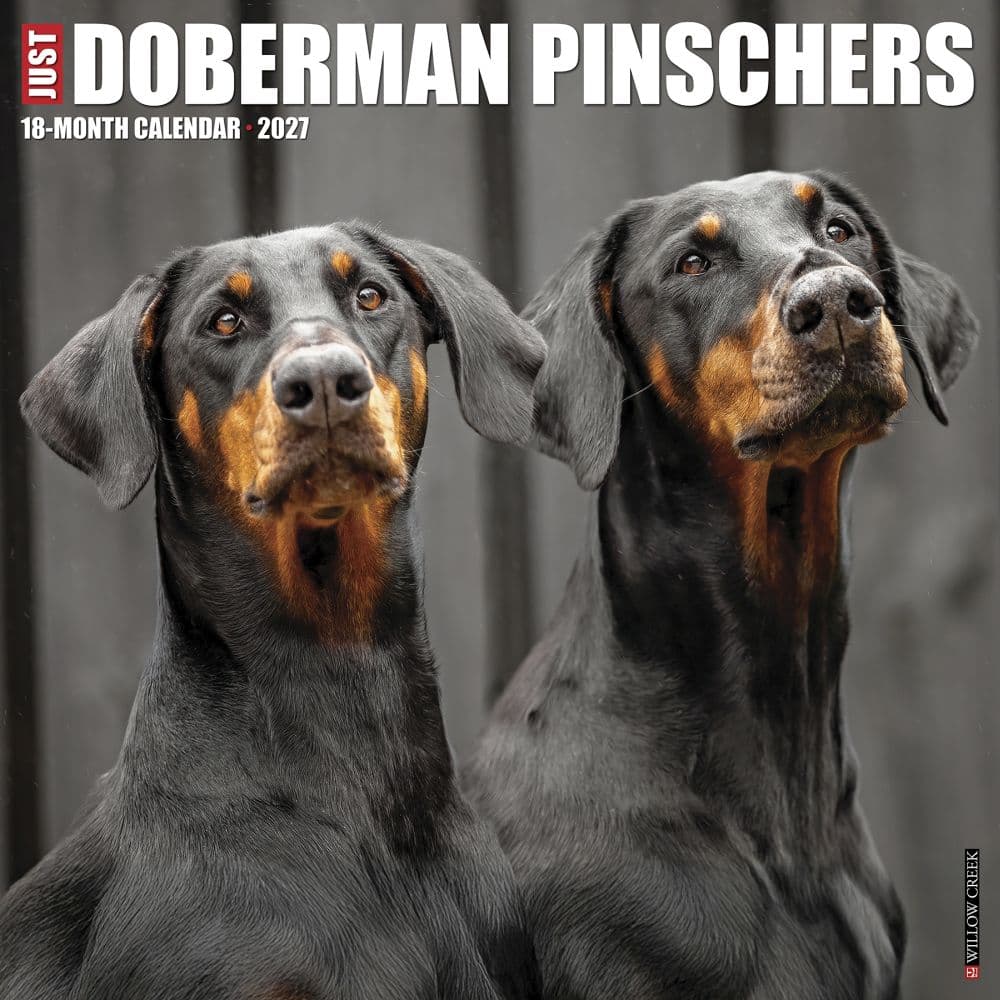 image Just Dobermans Pinschers 2027 Wall Calendar Main Product Image