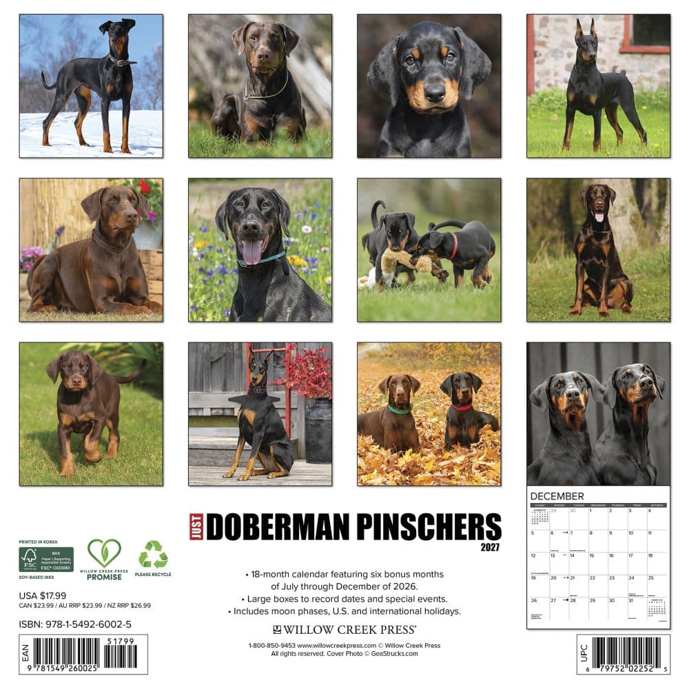 Just Dobermans Pinschers 2027 Wall Calendar First Alternate Image