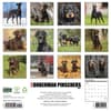 image Just Dobermans Pinschers 2027 Wall Calendar First Alternate Image
