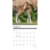 image Clydesdales Horses 2027 Wall Calendar Second Alternate Image