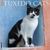 image Tuxedo Cats 2027 Wall Calendar Main Product Image