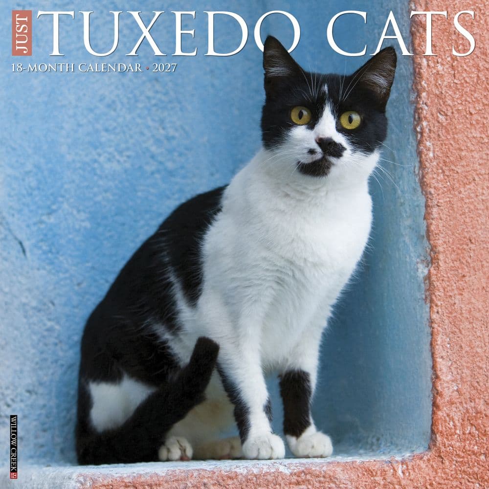 image Tuxedo Cats 2027 Wall Calendar Main Product Image