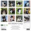 image Tuxedo Cats 2027 Wall Calendar First Alternate Image