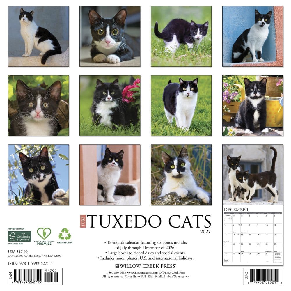 Tuxedo Cats 2027 Wall Calendar First Alternate Image