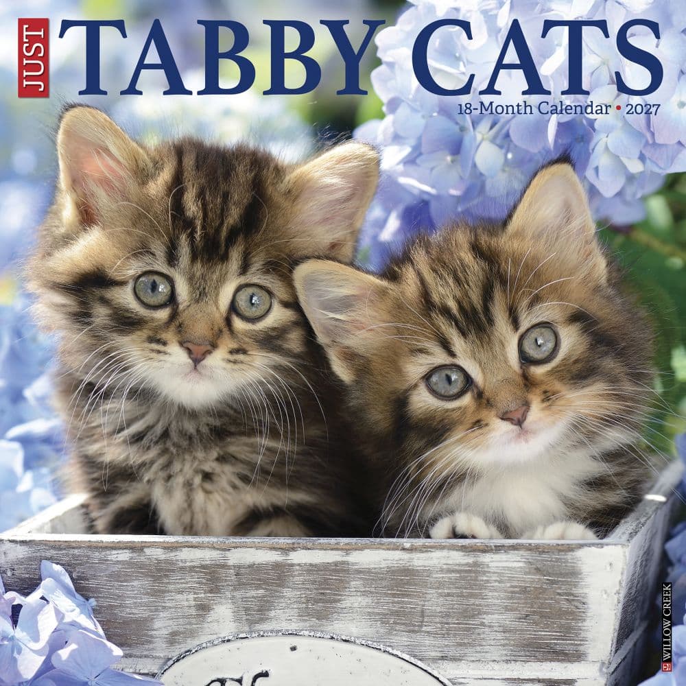 Tabby Cats 2027 Wall Calendar Main Product Image