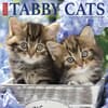 image Tabby Cats 2027 Wall Calendar Main Product Image