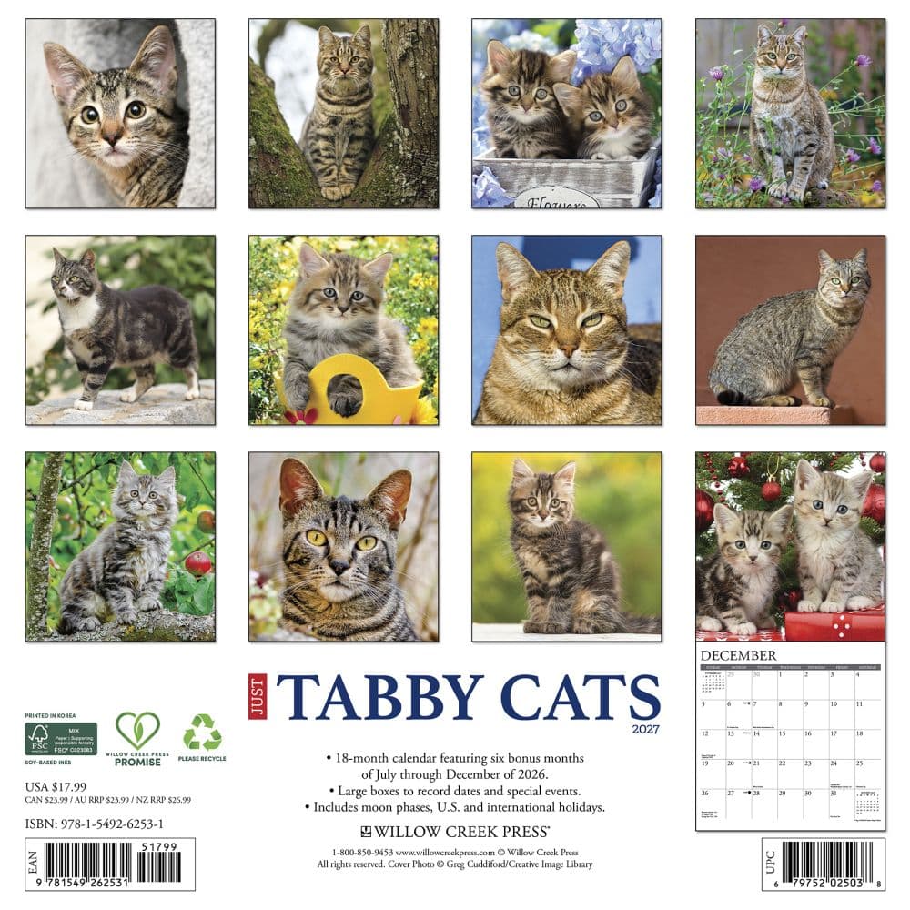 Tabby Cats 2027 Wall Calendar First Alternate Image