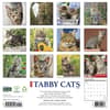 image Tabby Cats 2027 Wall Calendar First Alternate Image